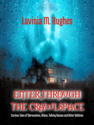 cover image of Enter Through the Crawlspace